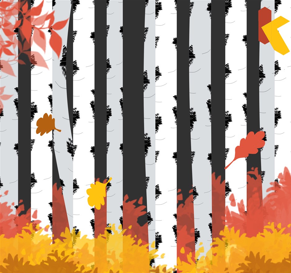 Maxi Kunstclub: Herfstbos-berkenbomen