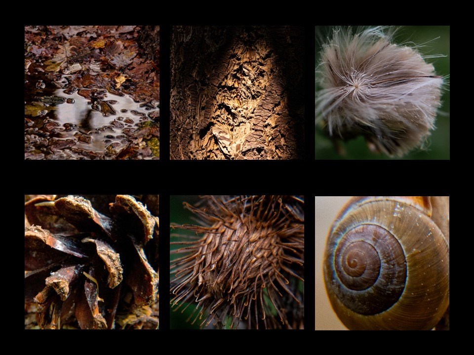 Gratis openbare presentatie Fotolab