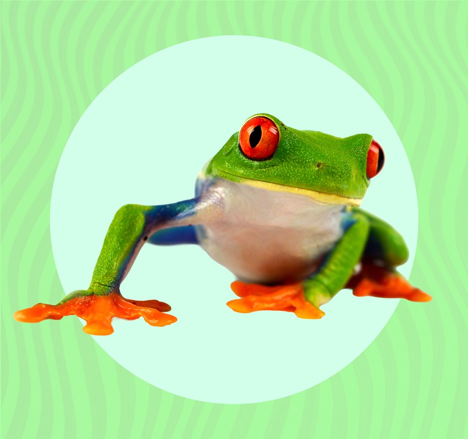 Maxi Kunstclub: 1 april, kikker in je bil