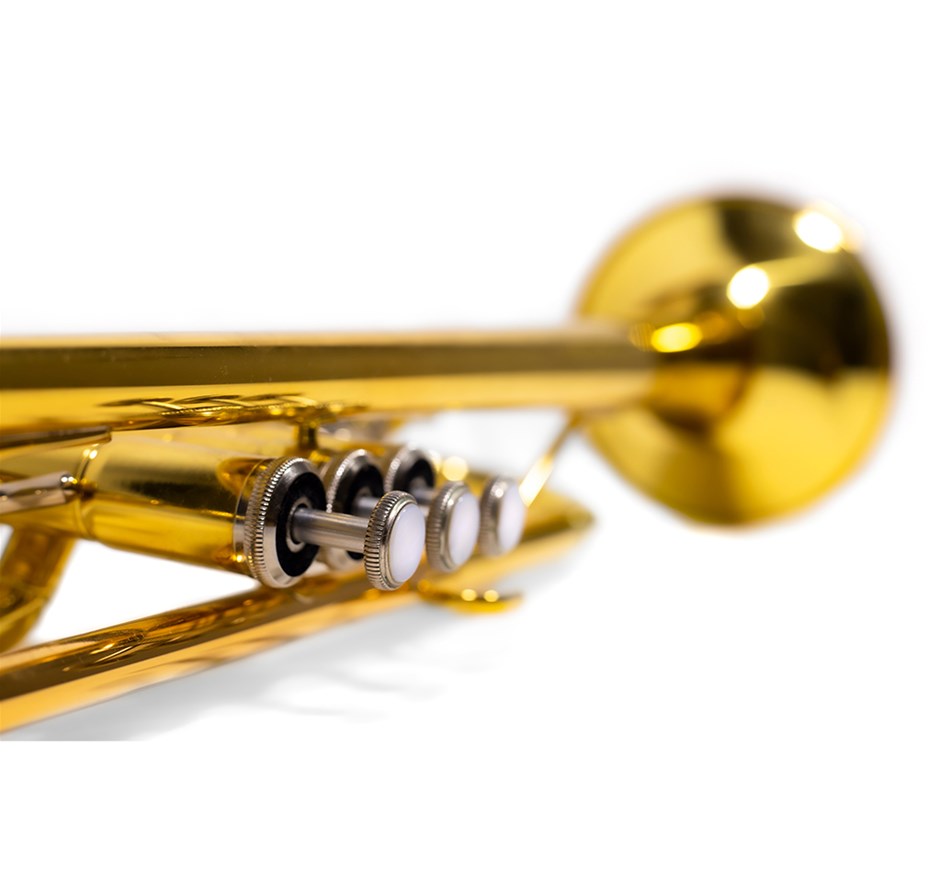 Big Band bij Lintjesregen