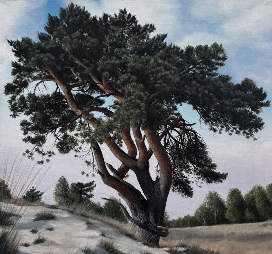 Expositie Mariska Brakenhof