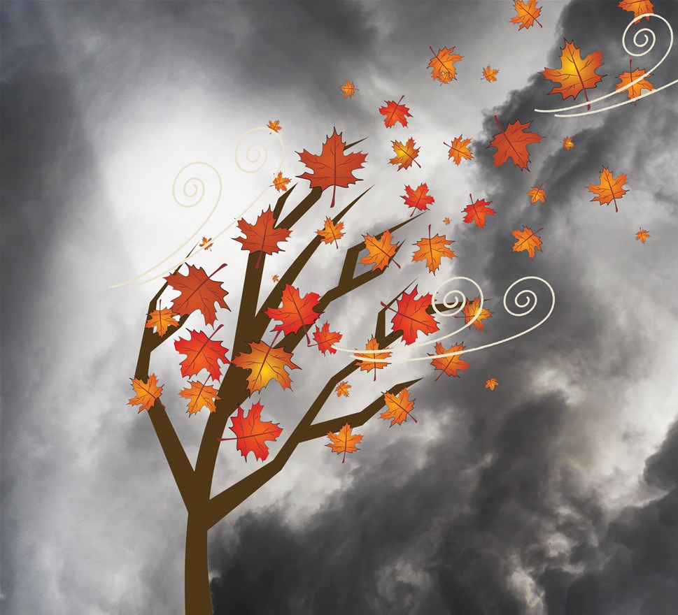 Mini Kunstclub: Herfststorm