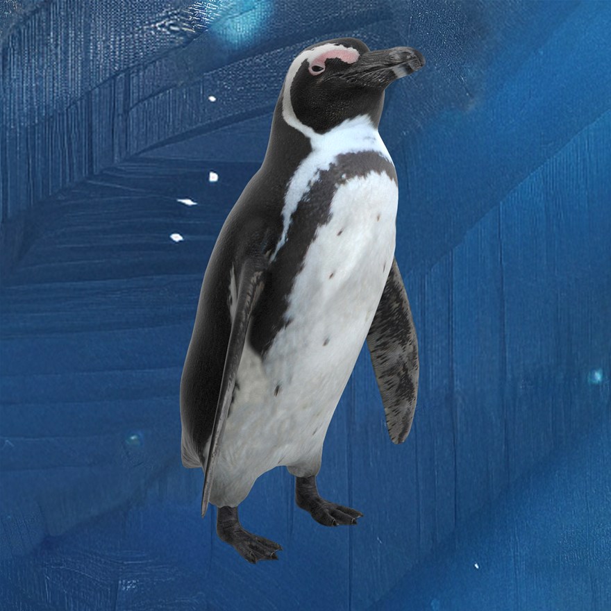 Maxi Kunstclub: Winterwonderland