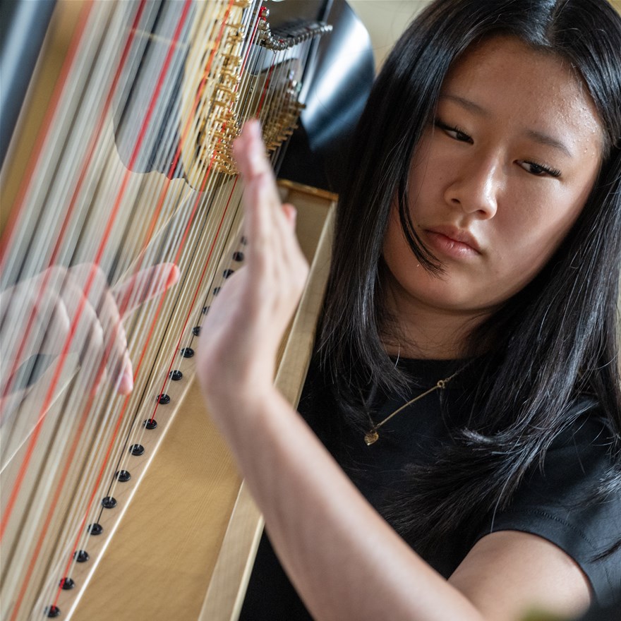 Harpconcert