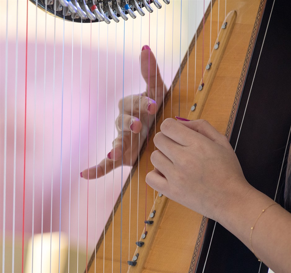 Harpconcert in Huis van Waalwijk