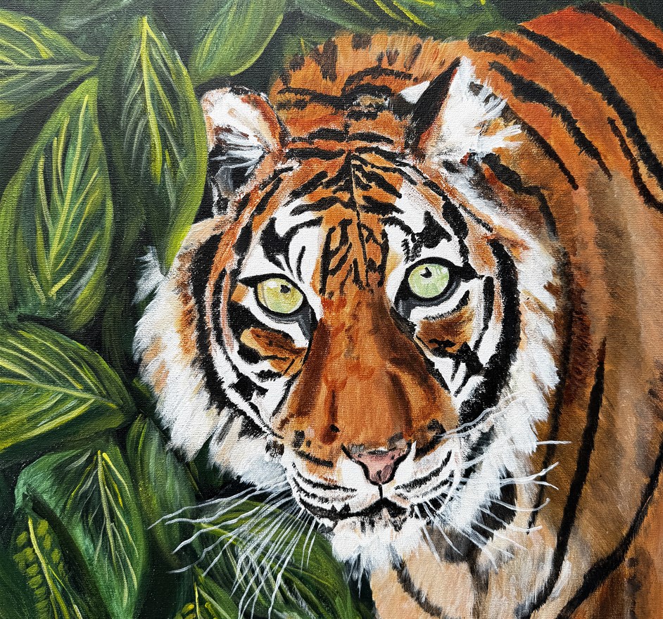 Expositie Uit Kijk Uit